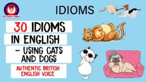 Idioms in Use Cats and Dogs