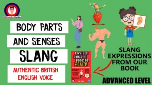 Body parts and senses slang